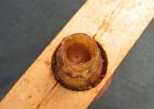 Cette larve est déposée dans une cupule et placée sur un cadre que l'on insère...
