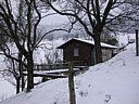 img_3288.jpg