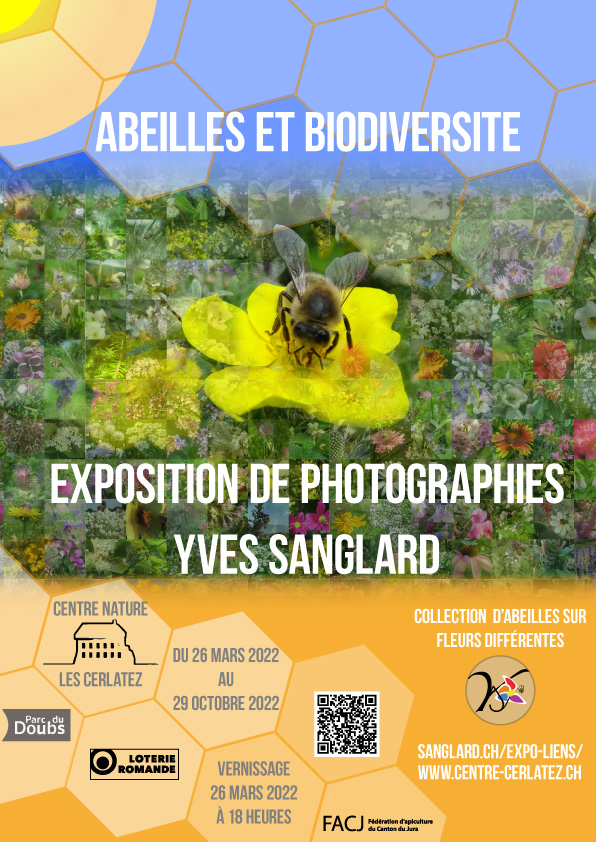 affiche expo photo